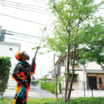 Teleskopska aku pila - motorka za drvo Makita 18+18V 30cm DUA301Z