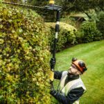 Aku škare - makaze za živu ogradu - živicu DeWalt DCMPH566N 18V XR