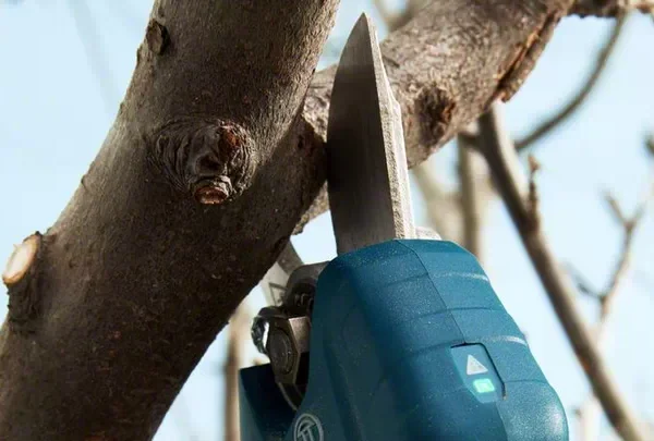 Aku škare-makaze za orezivanje - voćarske Bosch Pro Pruner 06019K1021 sa 2 baterije 3.0Ah i punjačem