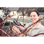 Ručni višenamjenski rezač za cijevi WOLFCRAFT Megacut W4197000