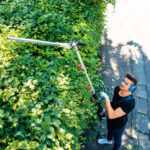 Električne škare-makaze za živu ogradu - živicu - teleskopske Scheppach TPH900 900W 438mm