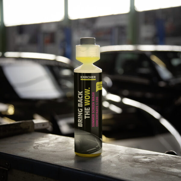 Sredstvo za čišćenje stakla KARCHER 6.296.110.0 250ml