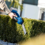 Aku škare-makaze za živu ogradu - živicu i travu Scheppach C-HTGS200-XS2 20V IXES 90-200cm sa baterijom 2.0Ah i punjačem 2.4A