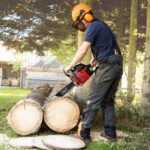 Benzinska motorna pila - motorka Scheppach CSP5300 2.7KS 51cm