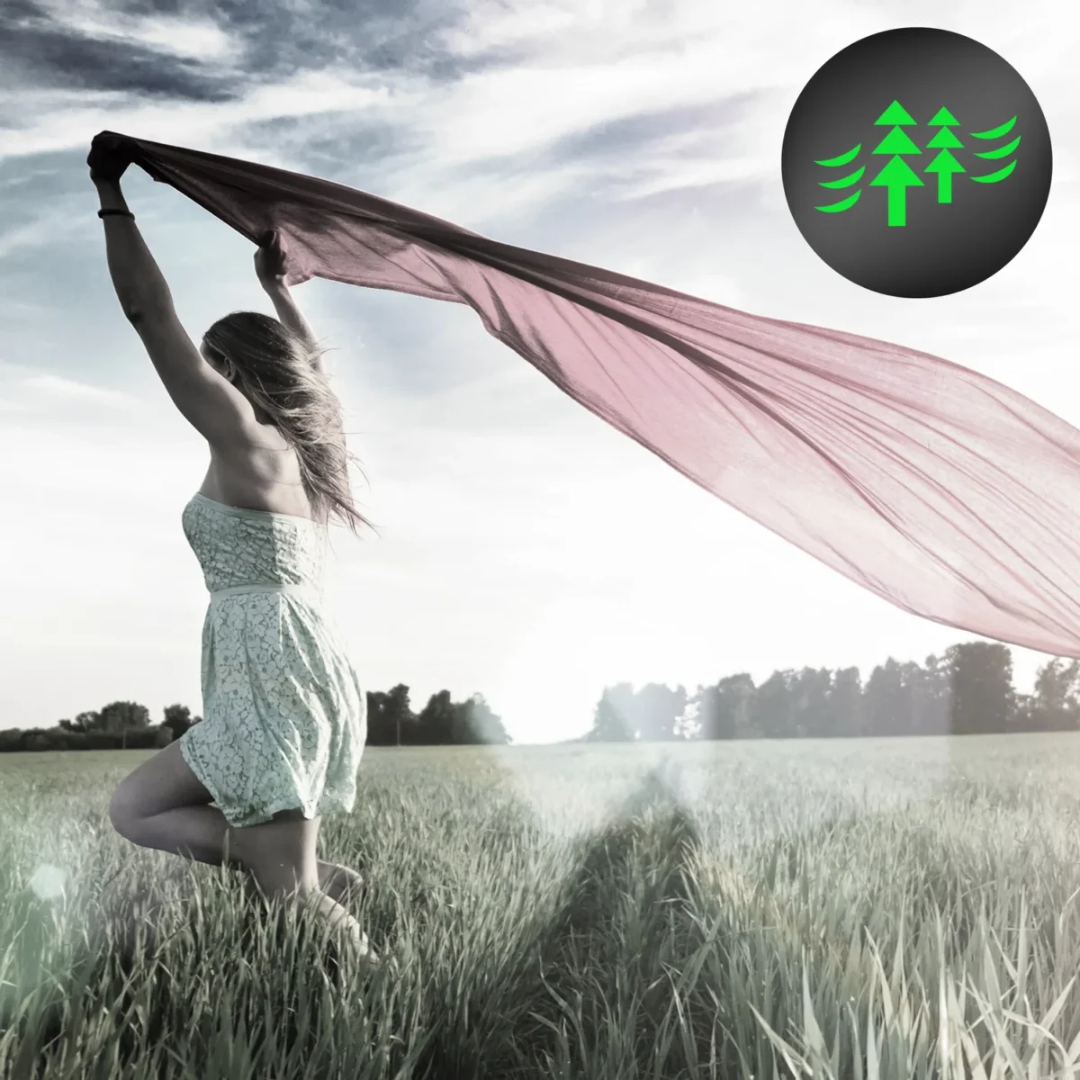 Električni ventilator Trotec TVE 31 T 1510005063 45W 92cm