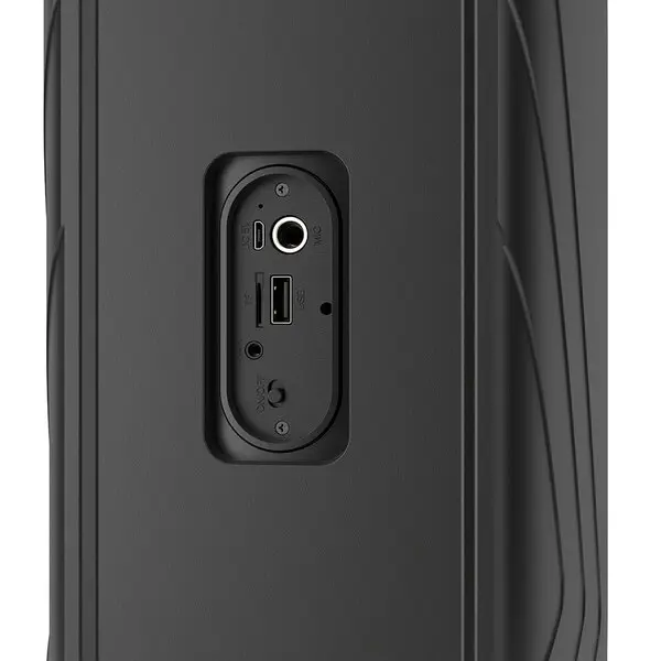 Audio zvučnik LEDWOOD BT LED+DROP100-BLACK P-18191