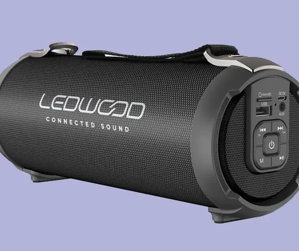 Prijenosni zvučnik LEDWOOD BT ACCESS100-BT-BLK P-18192 90W