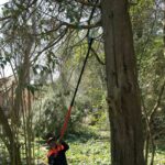 Teleskopske benzinske motorne pile - motorke ECHO PPT-2620HES - X serija 1.4KS 30cm