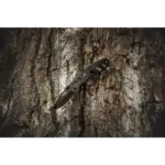 Sklopivi multifunkcijski nož Neo Tools 63-181 16cm