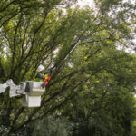 Teleskopska aku pila - motorka za drvo Milwaukee M18 FTPS30 -121 4933480869 30cm sa 12Ah baterijom i punjačem