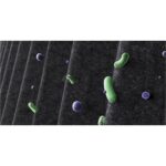 Pročišćivač zraka Xiaomi 4 48m2