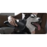 Aku štapni usisivač za suho usisavanje Xiaomi G20 Max 520W