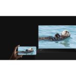 Android - Google TV box Xiaomi TV Box S - 2. generacija