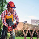 Električna pila - motorka za drvo Einhell GH-EC 2040 4501720 2000W 40cm