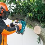 Aku pila - motorka za drvo Makita DUC256CZ 18+18V 25cm