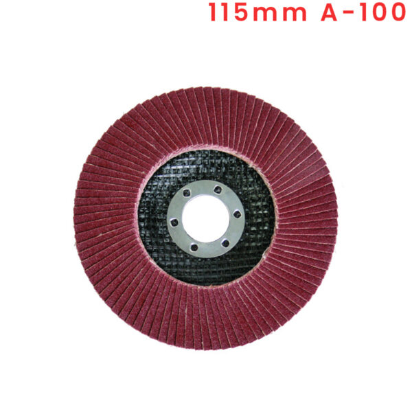 Brusna ploča - lamelni disk za brusilice Raider 164104 115mm A-100