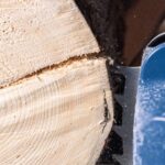 Aku pila - motorka za drvo Scheppach C-CS254-XS2 20V IXES 25.4cm sa baterijom 2.0Ah i punjačem 2.4A