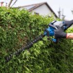 Aku škare-makaze za živu ogradu - živicu Scheppach BC-HT720-XS2 2x20V IXES Brushless 65cm sa 2 baterije 2.0Ah i 2 punjača 2.4A