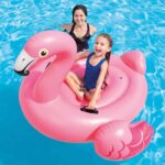 Šlauf za vodu na napuhavanje INTEX 57558NP 1.47x1.4x0.94m