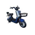 Električni skuter Caneras Model X2 55km