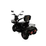 Električni skuter Caneras Model X3 55km