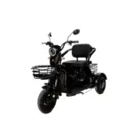 Električni skuter Caneras Model X3 55km