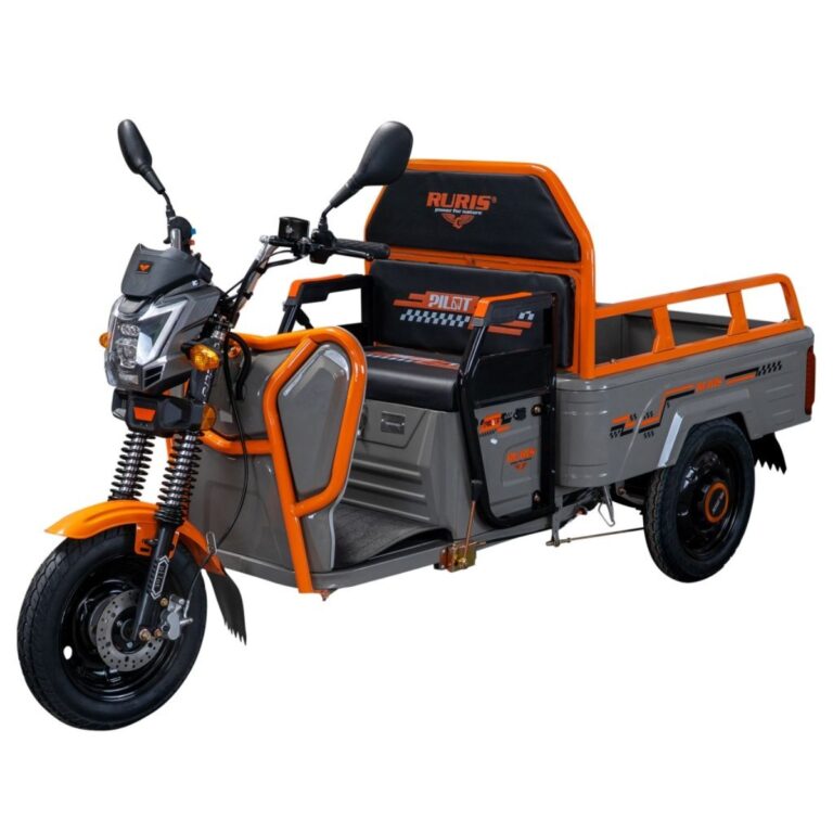Električni teretni skuter Ruris Pilot 3110G 31100TCG25a 2.0kW 80km siva