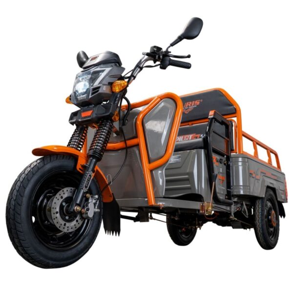 Električni teretni skuter Ruris Pilot 3110G 31100TCG25a 2.0kW 80km siva