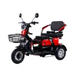Električni skuter Caneras Model X3 55km