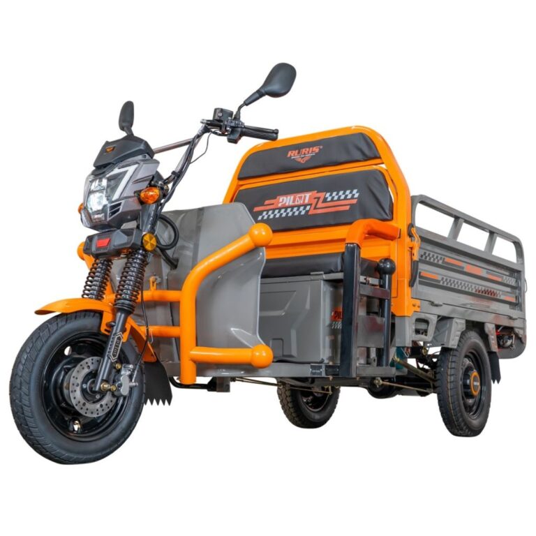 Električni teretni skuter Ruris Pilot 3120G 31200TCG25a 2.0kW 70km siva