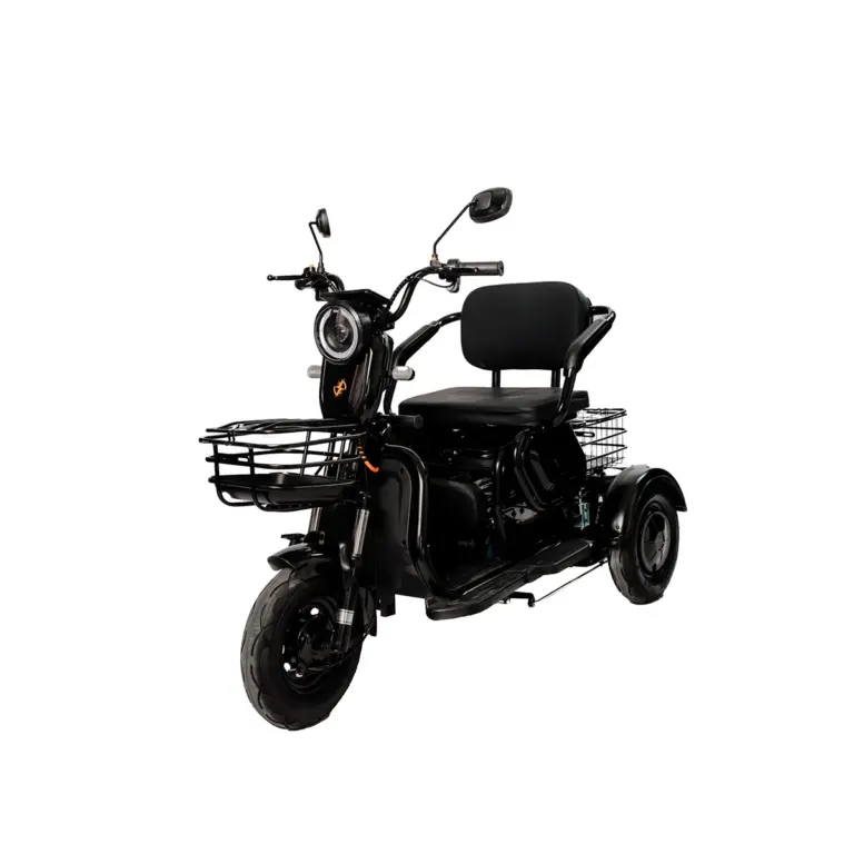 Električni skuter Caneras Model X3 55km