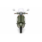 Električni skuter Ruris Pilot SX790BG 79000SXB26a 800W 50km bamboo zelena