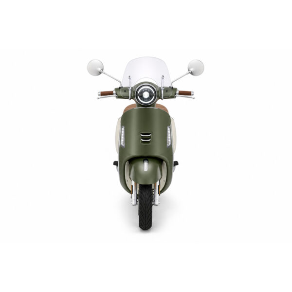 Električni skuter Ruris Pilot SX790BG 79000SXB26a 800W 50km bamboo zelena