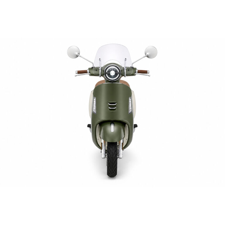 Električni skuter Ruris Pilot SX790BG 79000SXB26a 800W 50km bamboo zelena