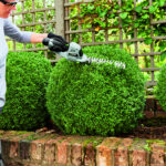 Aku škare-makaze za živu ogradu - živicu EGO CHT2001E 12V sa baterijom i punjačem