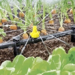 Obujmice - šelne za raspršivanje KARCHER 2.645-236.0 5 komada